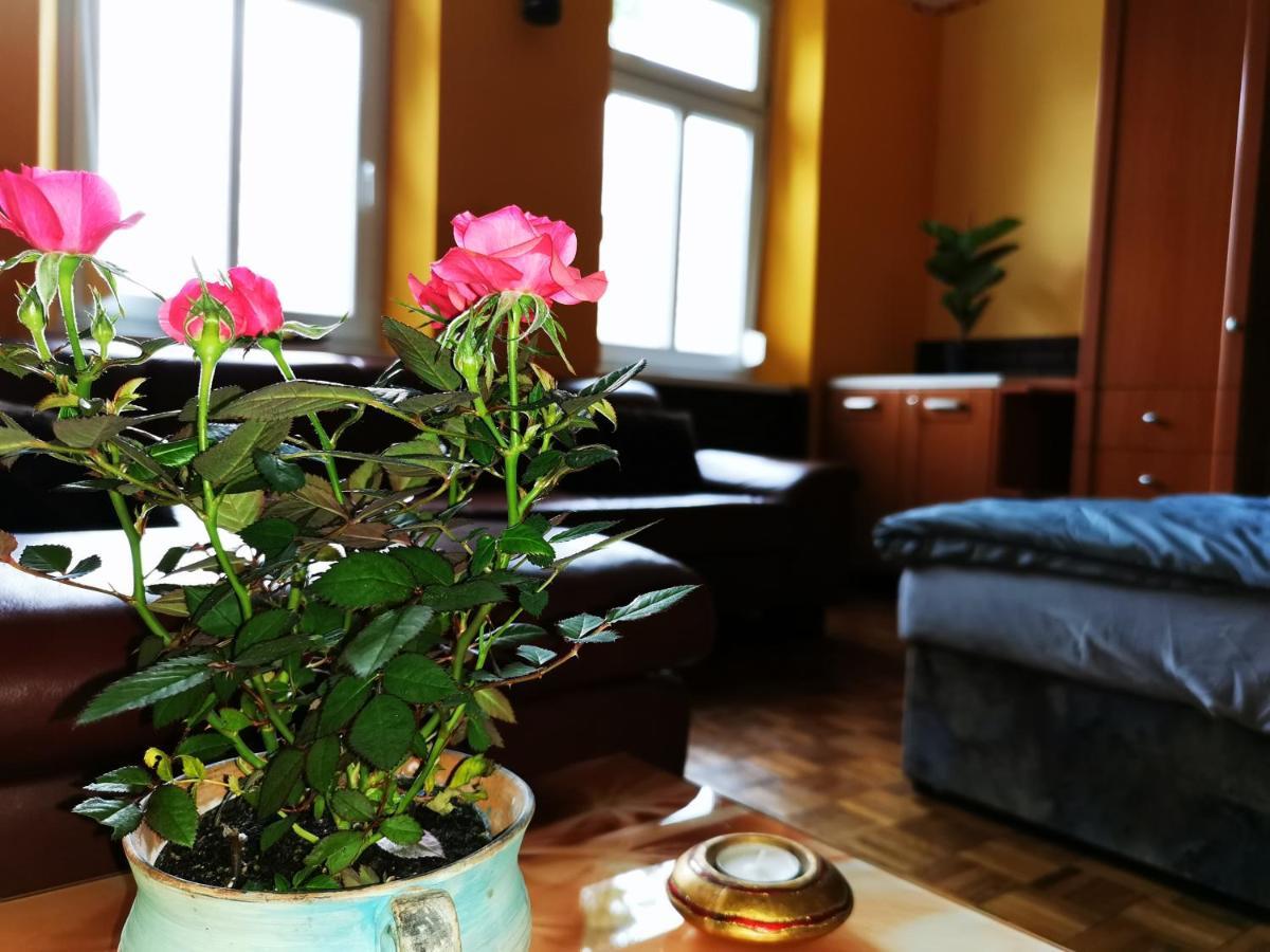 Lehel Apartman Keszthely Esterno foto
